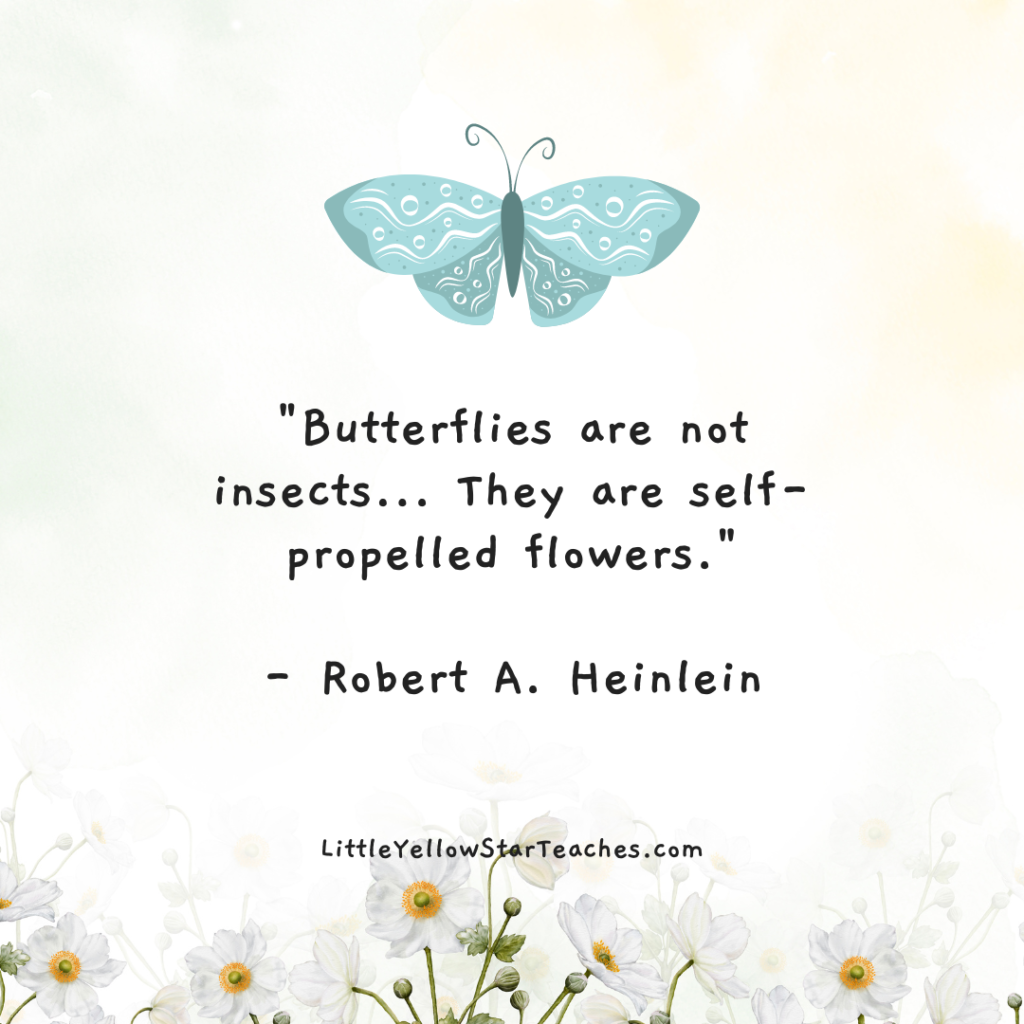 11 Butterfly Quotes for Kids