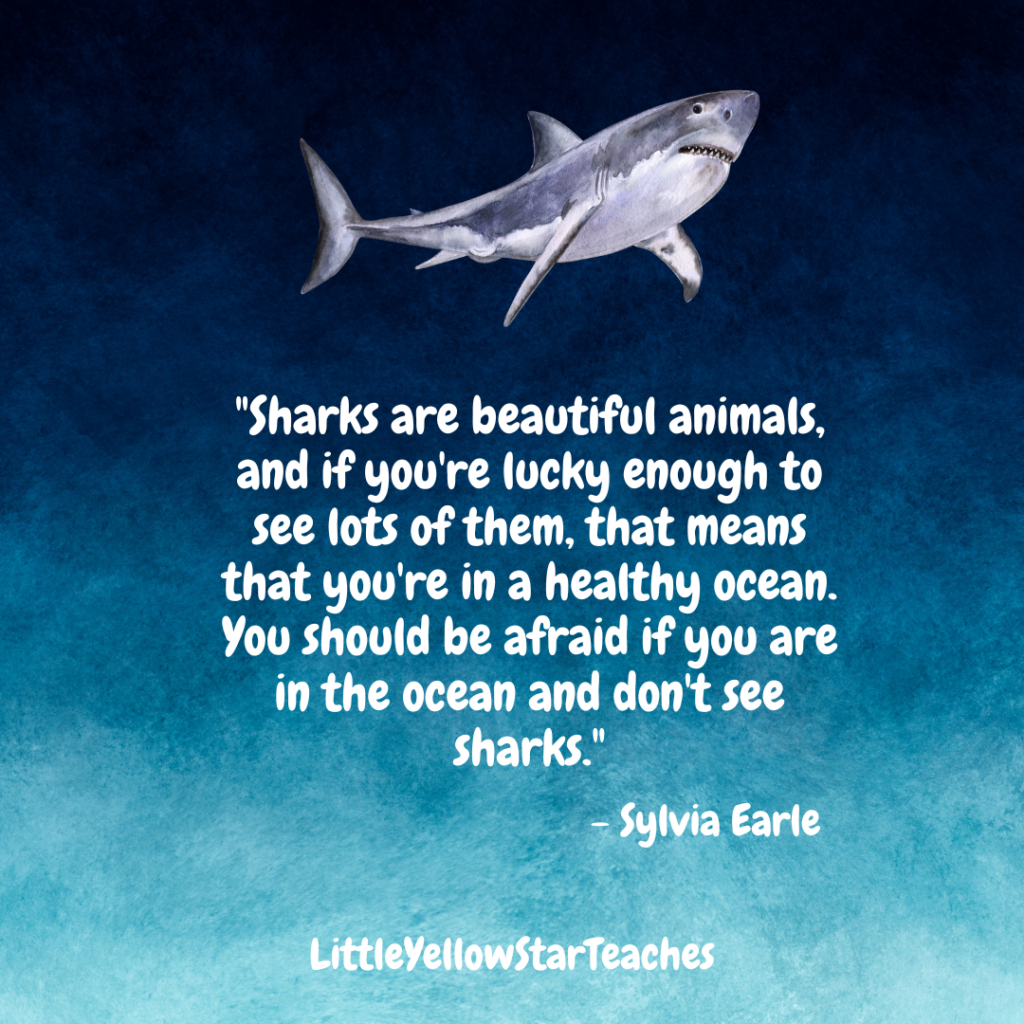 11 Shark Quotes for Kids