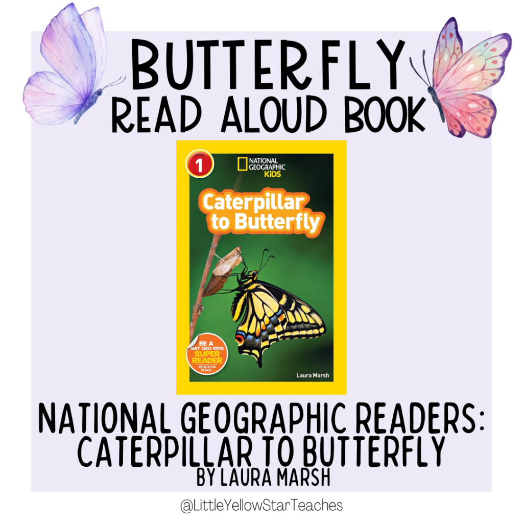 11 Butterfly Books For Kids