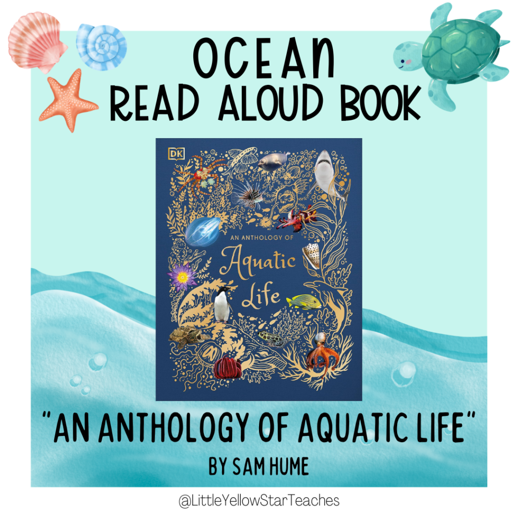 Ocean Books For Kids