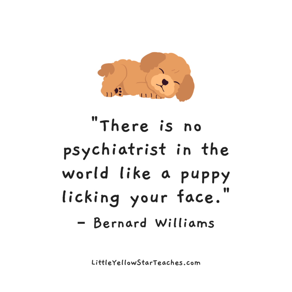 11 Pet Quotes for Kids