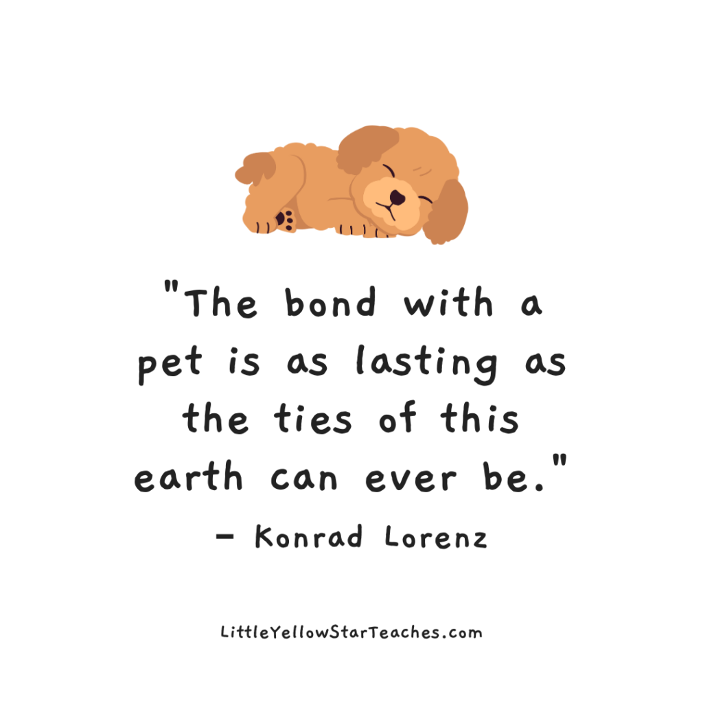 11 Pet Quotes for Kids