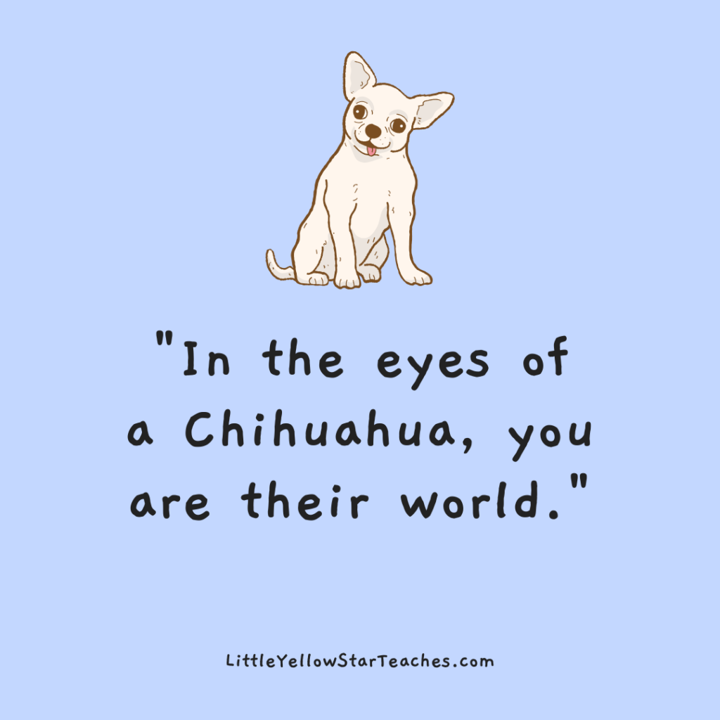 Chihuahua Quotes for Kids