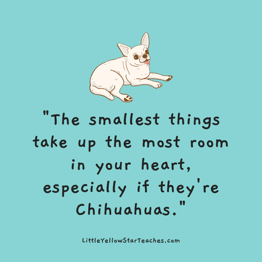 Chihuahua Quotes for Kids