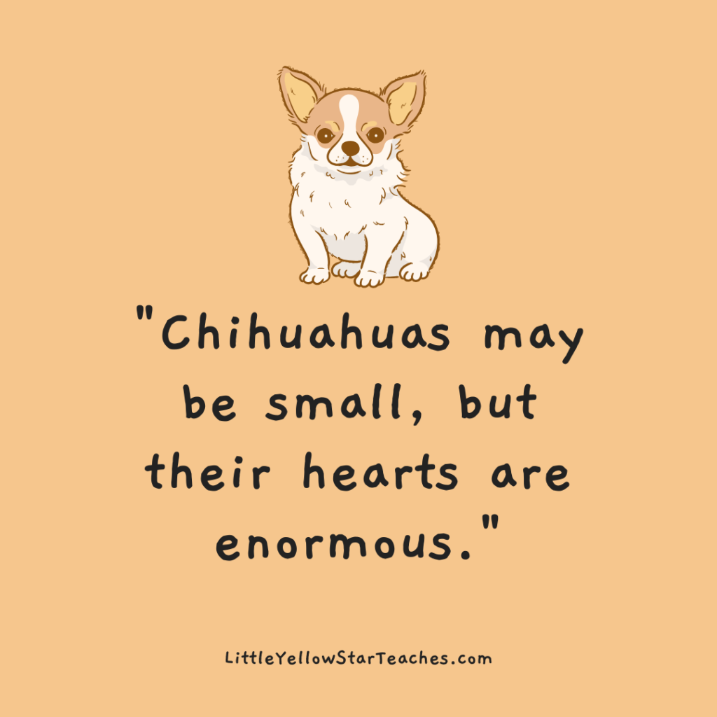 Chihuahua Quotes for Kids