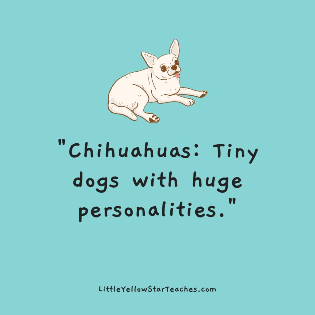 Chihuahua Quotes for Kids