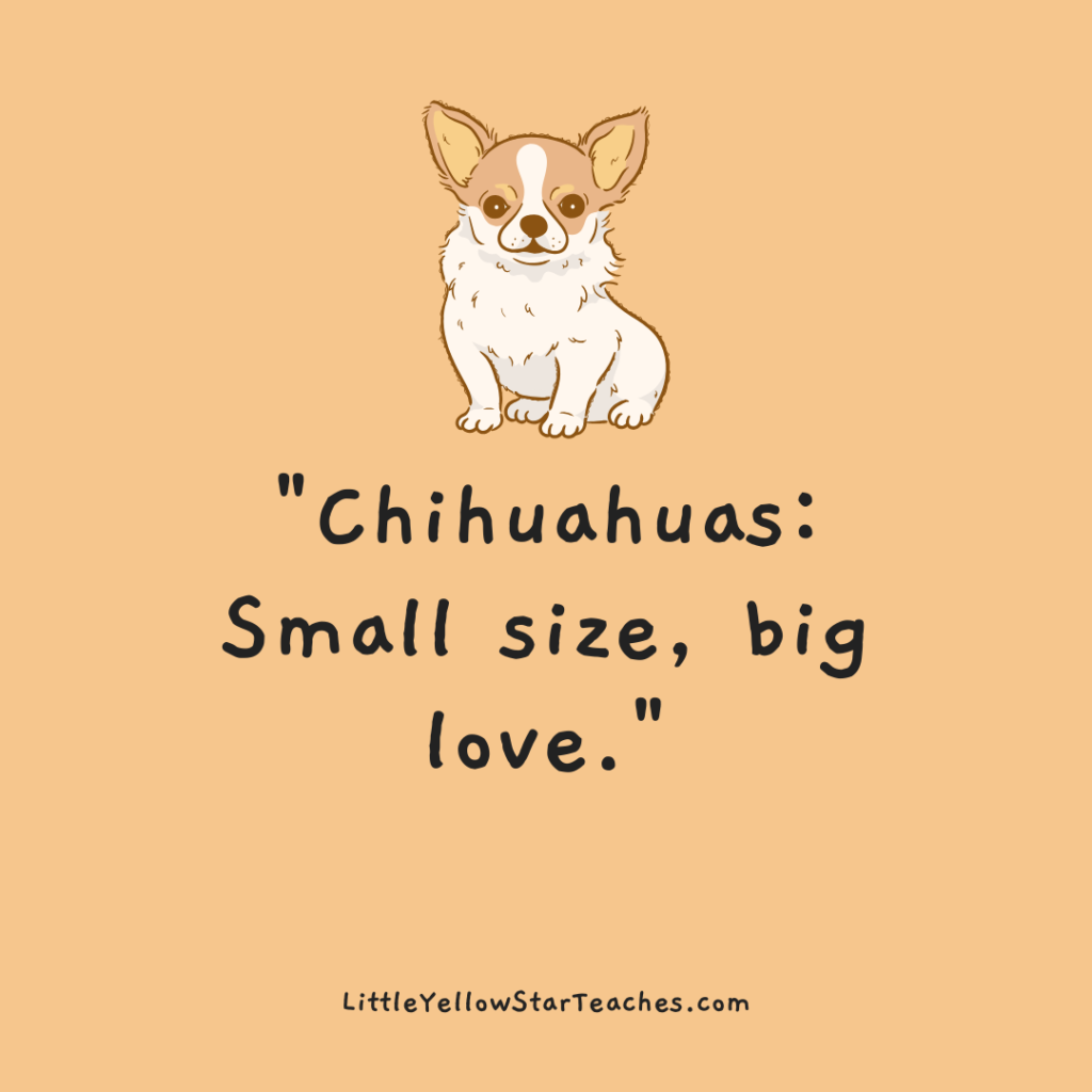Chihuahua Quotes for Kids