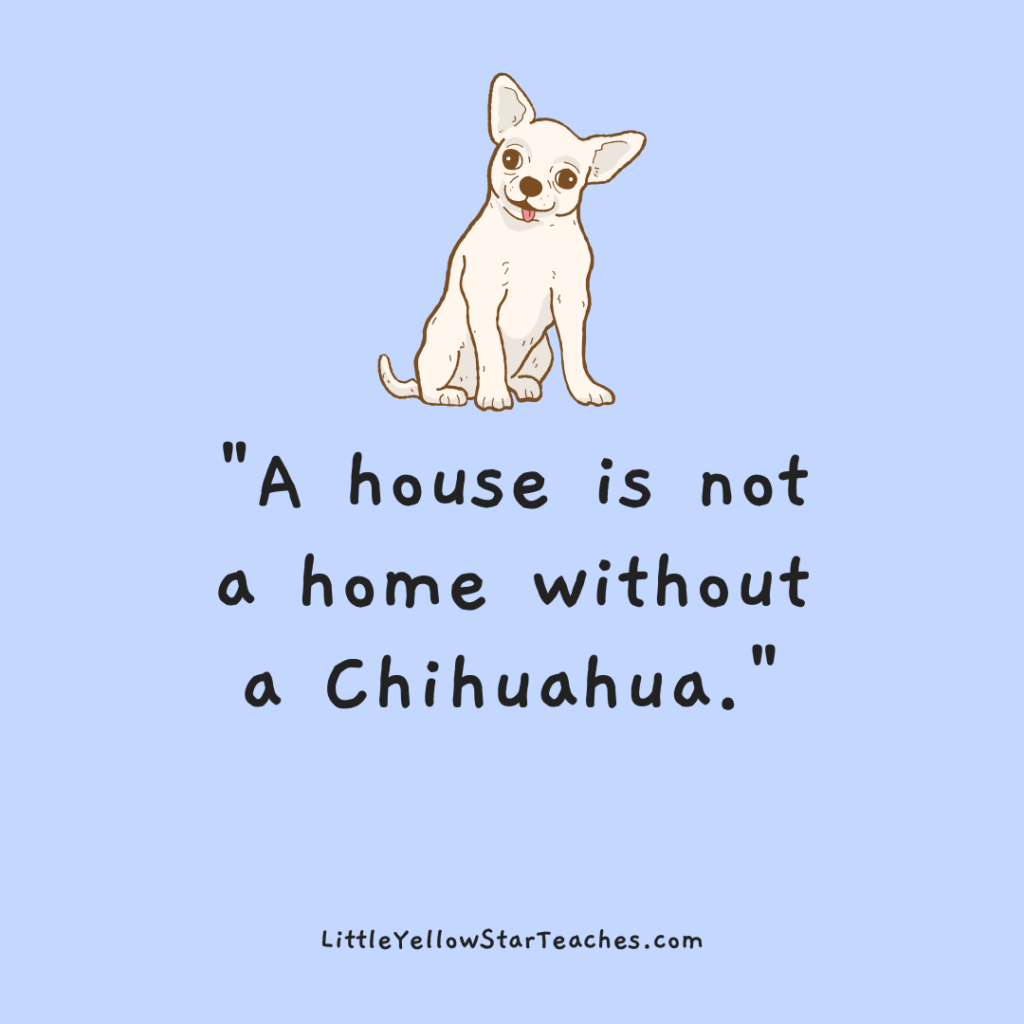 Chihuahua Quotes for Kids