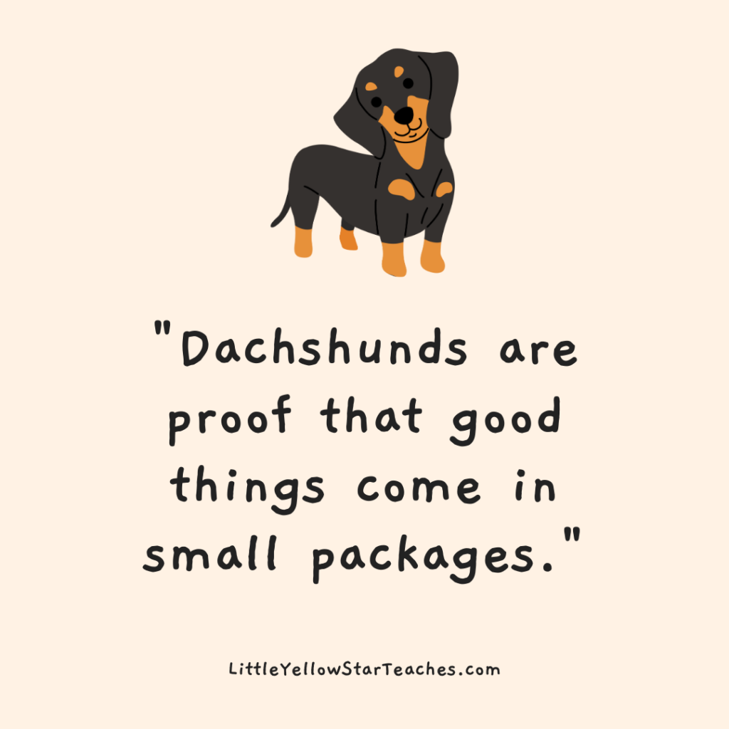 Dachshunds Quotes for Kids