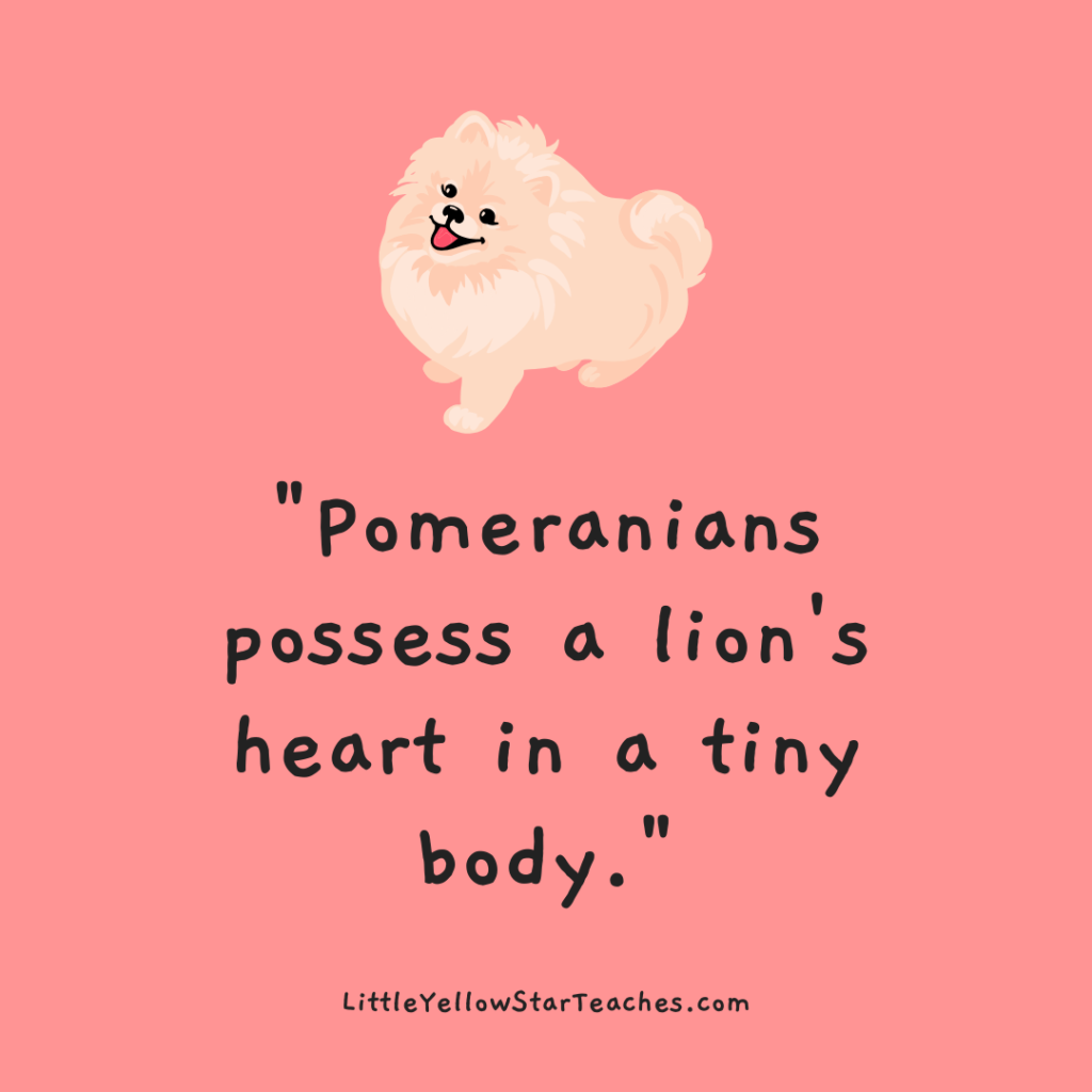 Pomeranian Quotes for Kids