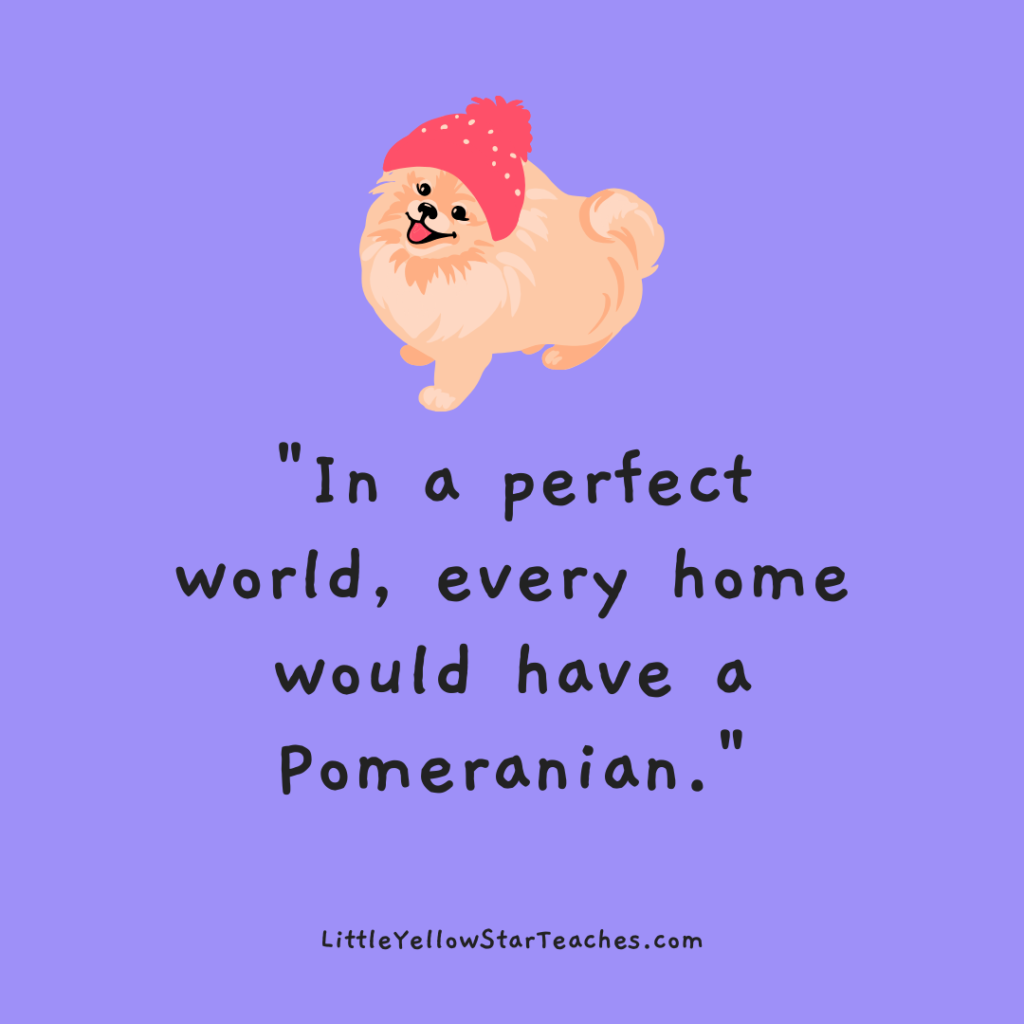 Pomeranian Quotes for Kids