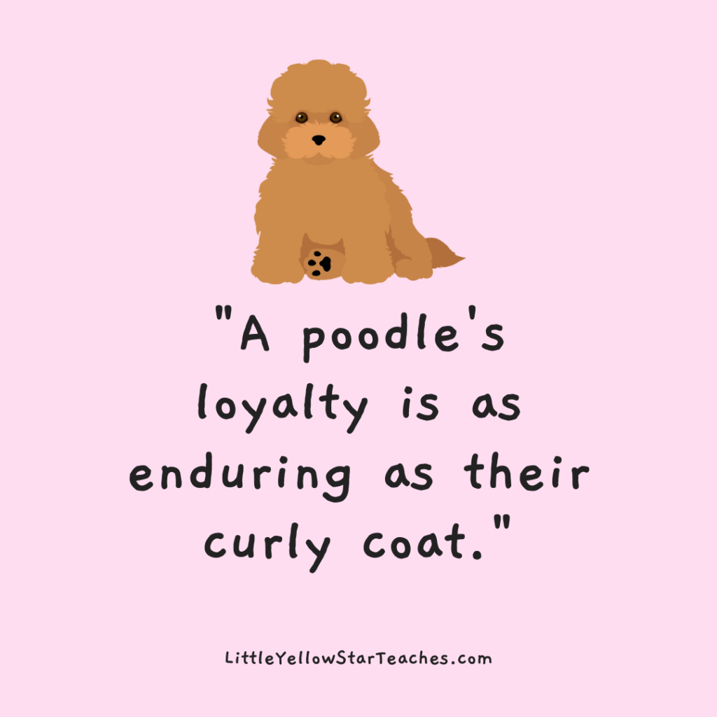 Poodle Quotes for Kids