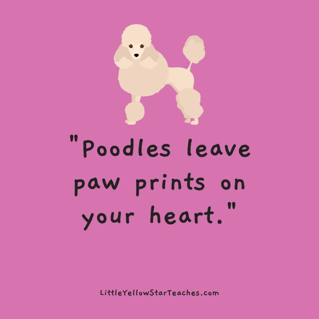 Poodle Quotes for Kids