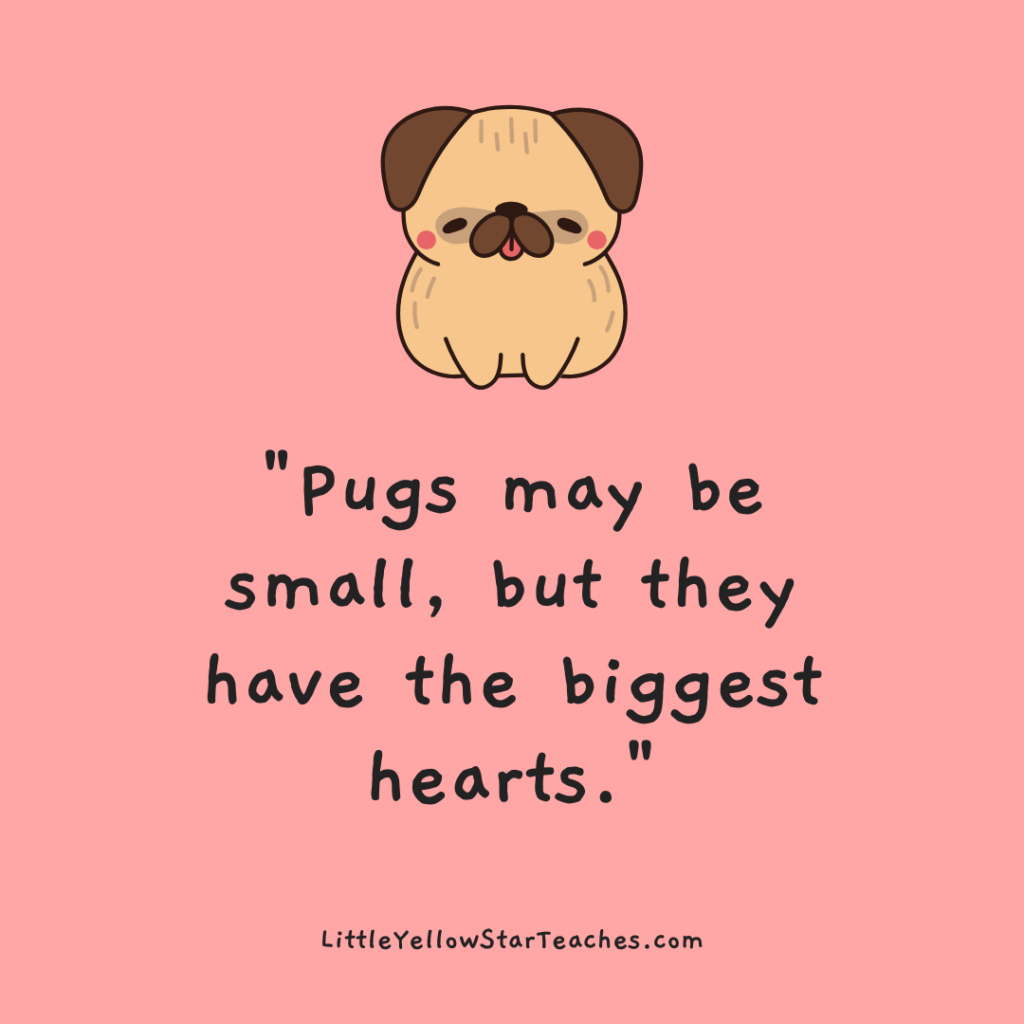 Pug Quotes for Kids