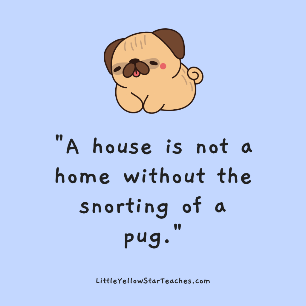 Pug Quotes for Kids