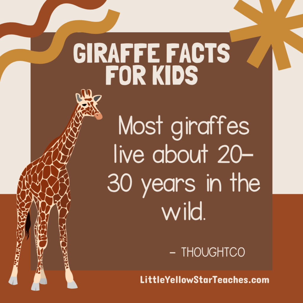 Giraffe Facts for Kids