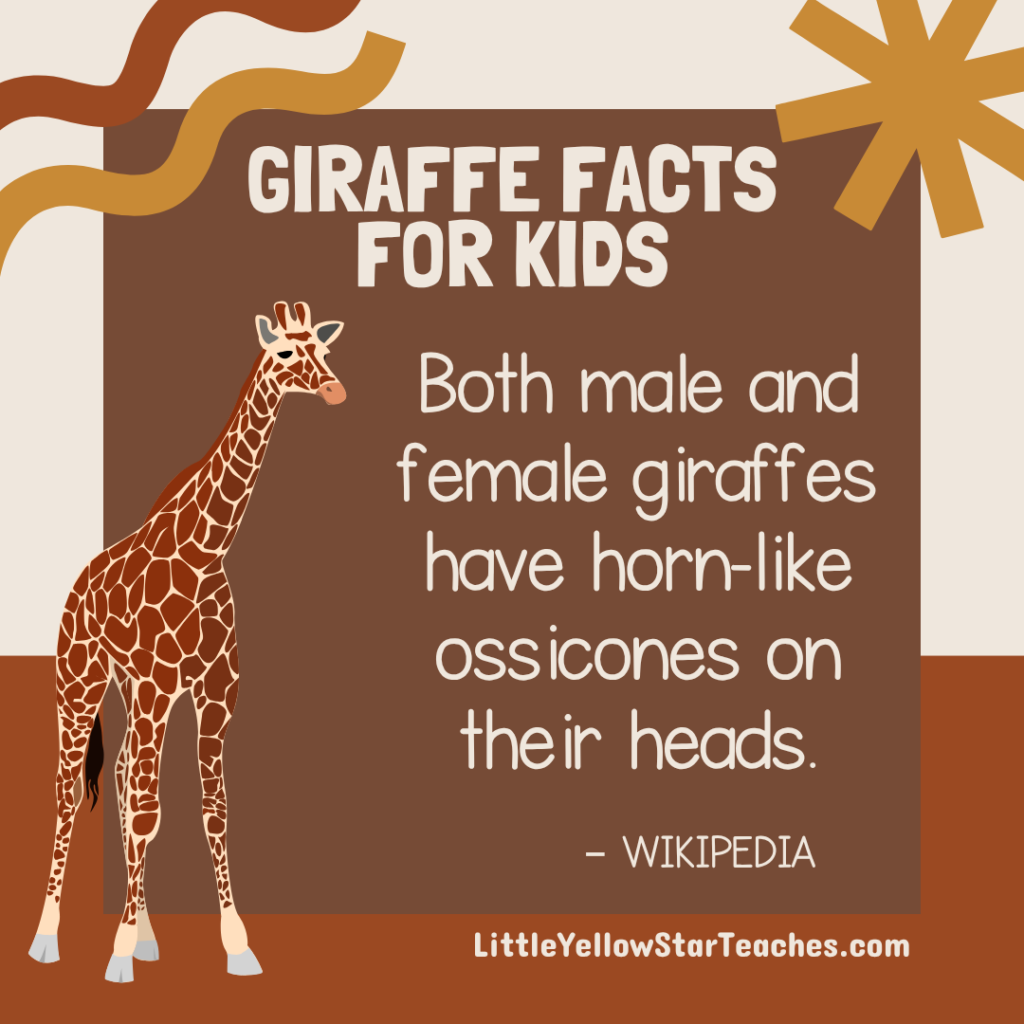 Giraffe Facts for Kids