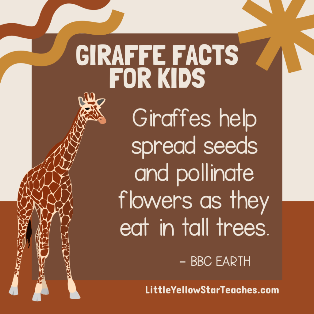 Giraffe Facts for Kids