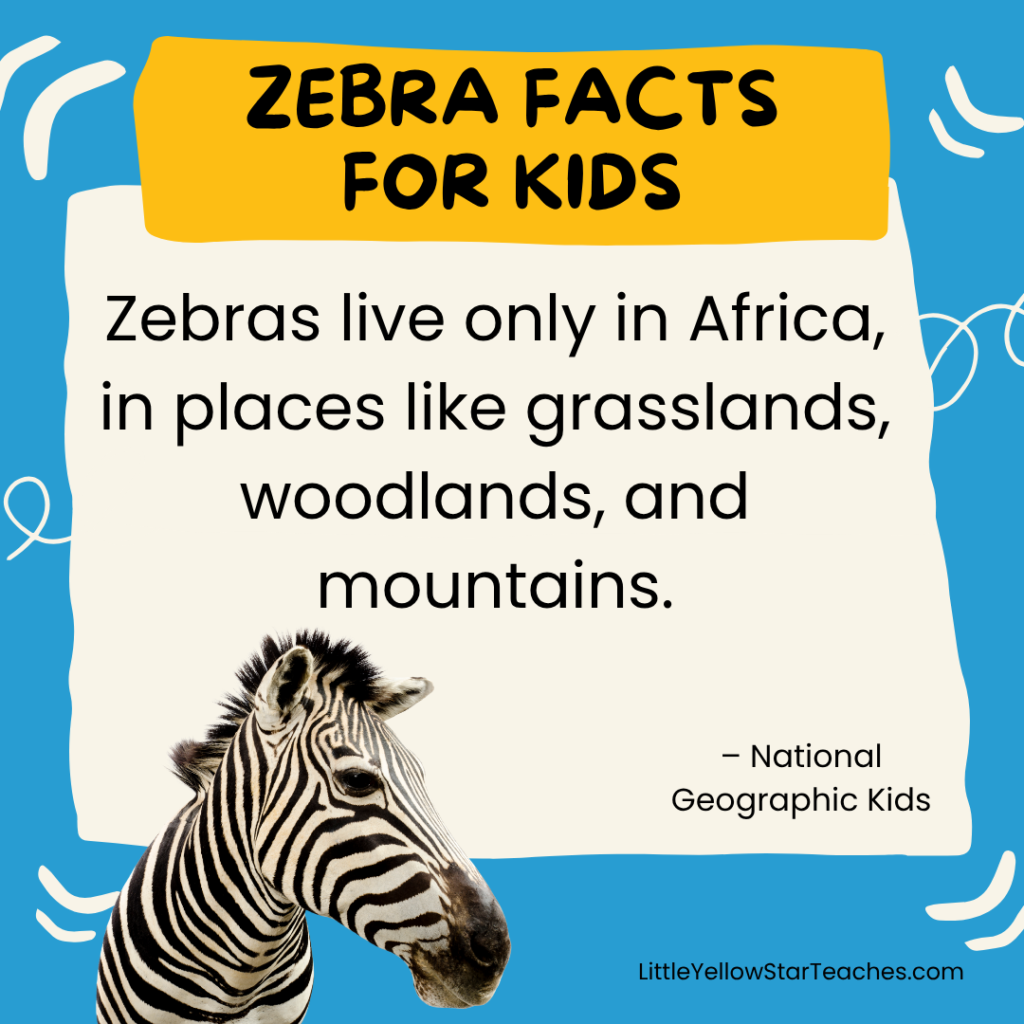 Zebra Facts for Kids