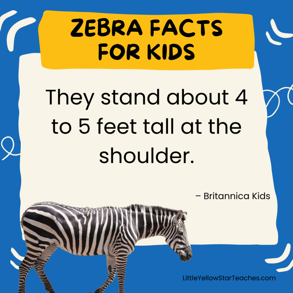 Zebra Facts for Kids