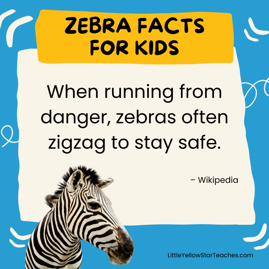 Zebra Facts for Kids