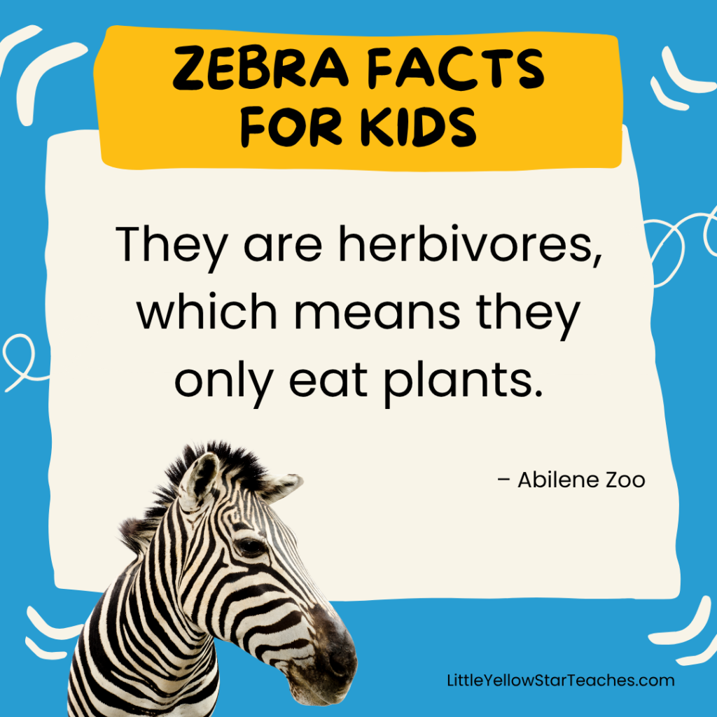 Zebra Facts for Kids