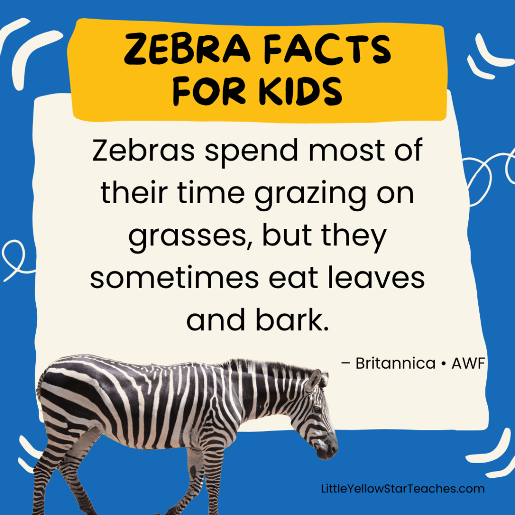 Zebra Facts for Kids