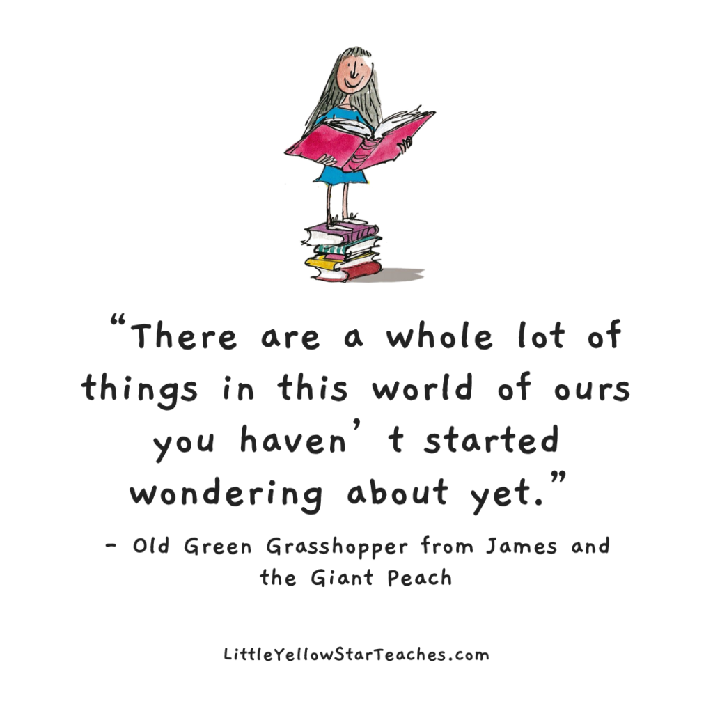 Roald Dahl Quotes for Kids