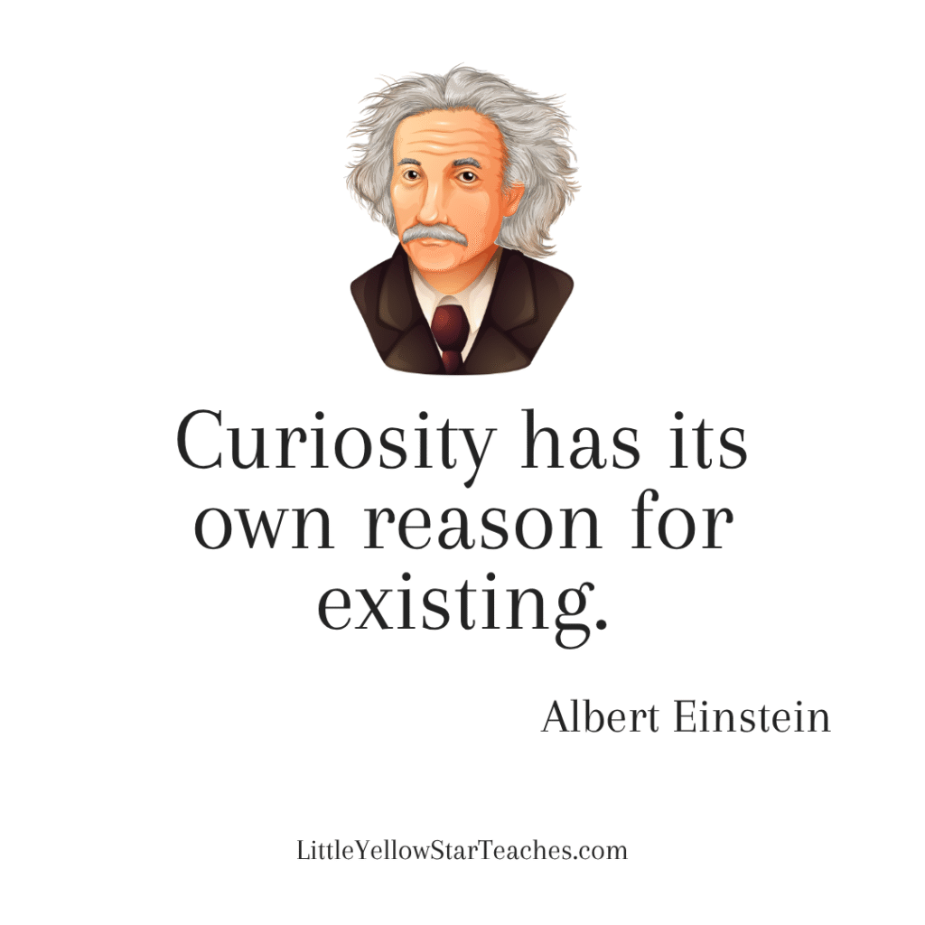 Albert Einstein Quotes for Kids