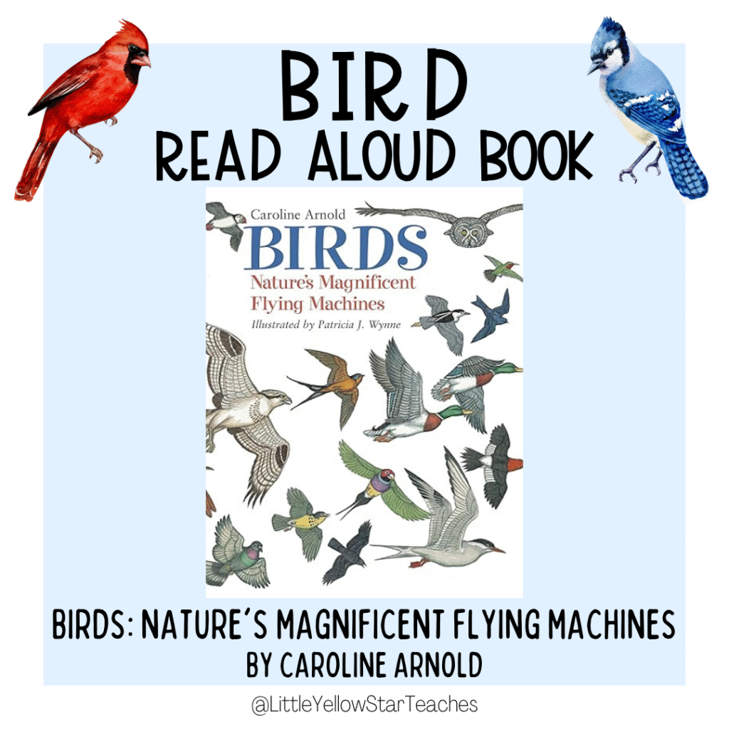 Bird Books for Kids