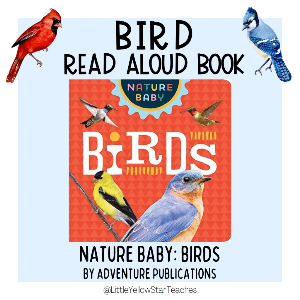 Bird Books for Kids