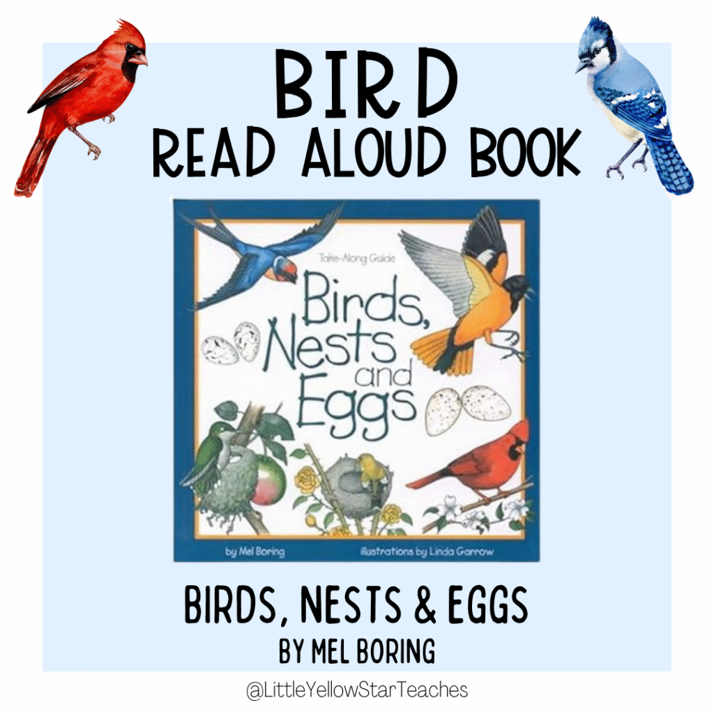 Bird Books for Kids