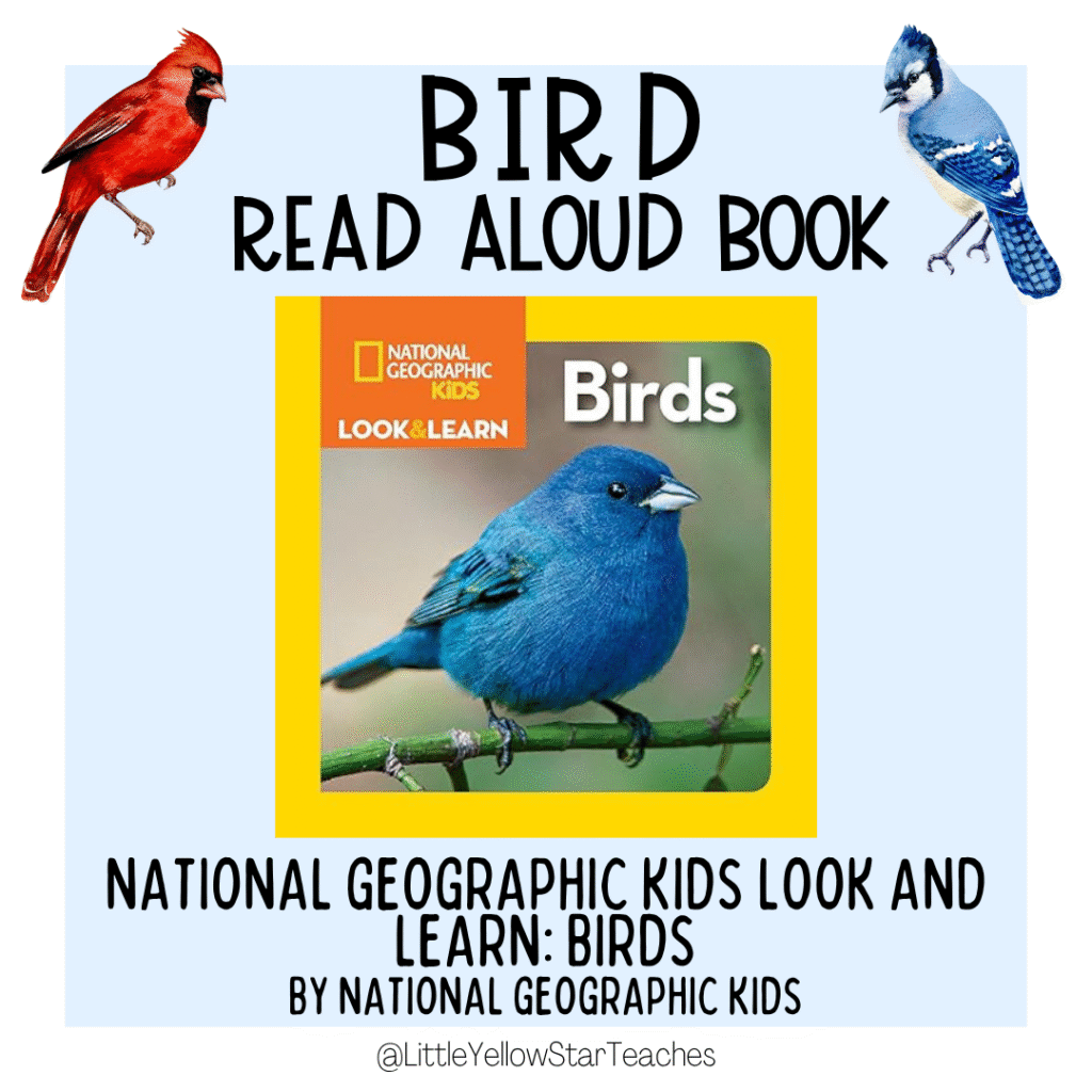 Bird Books for Kids