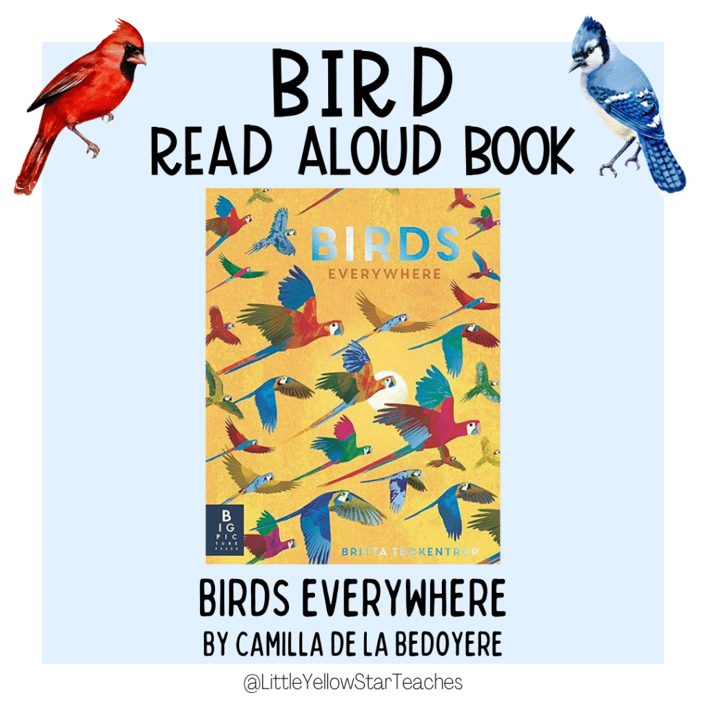 Bird Books for Kids