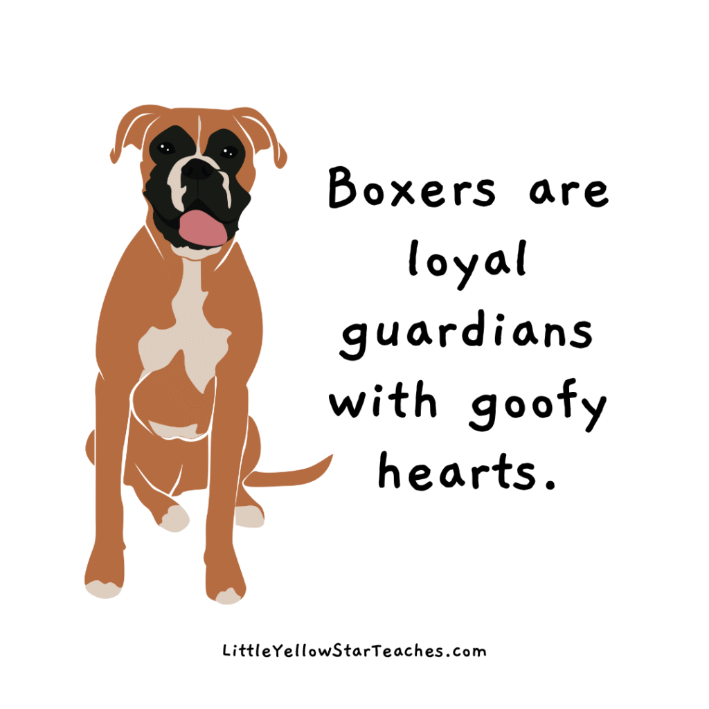 boxer quotes for kids