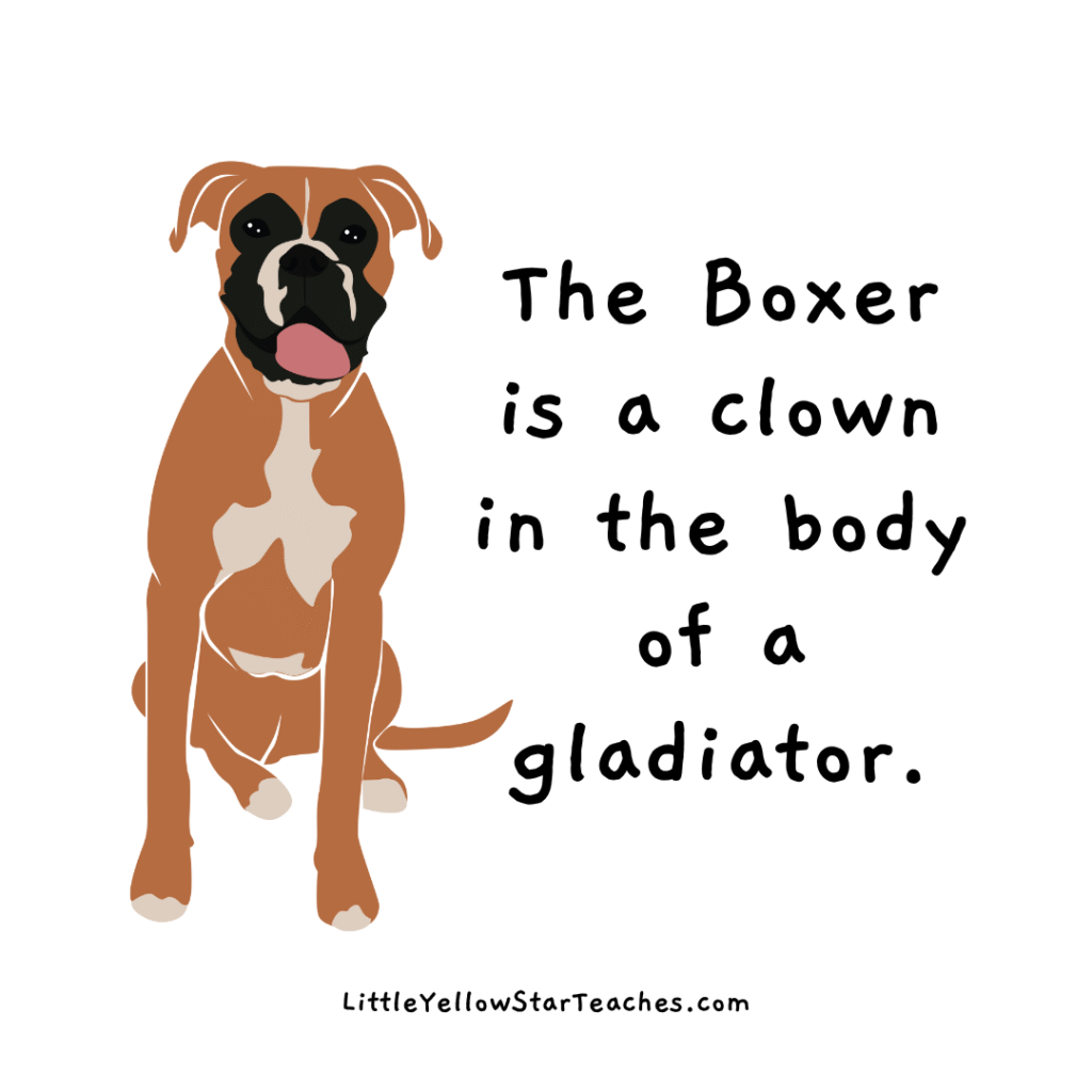 boxer quotes for kids