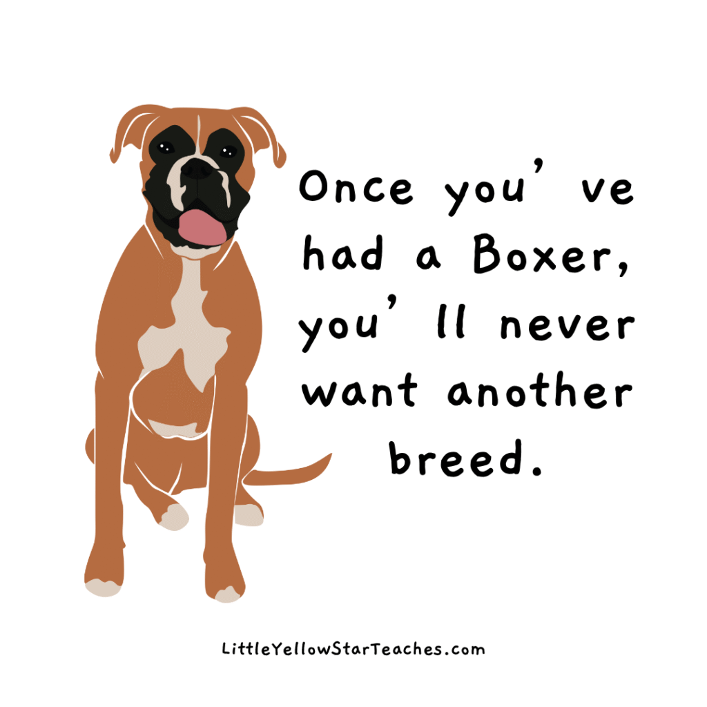 boxer quotes for kids