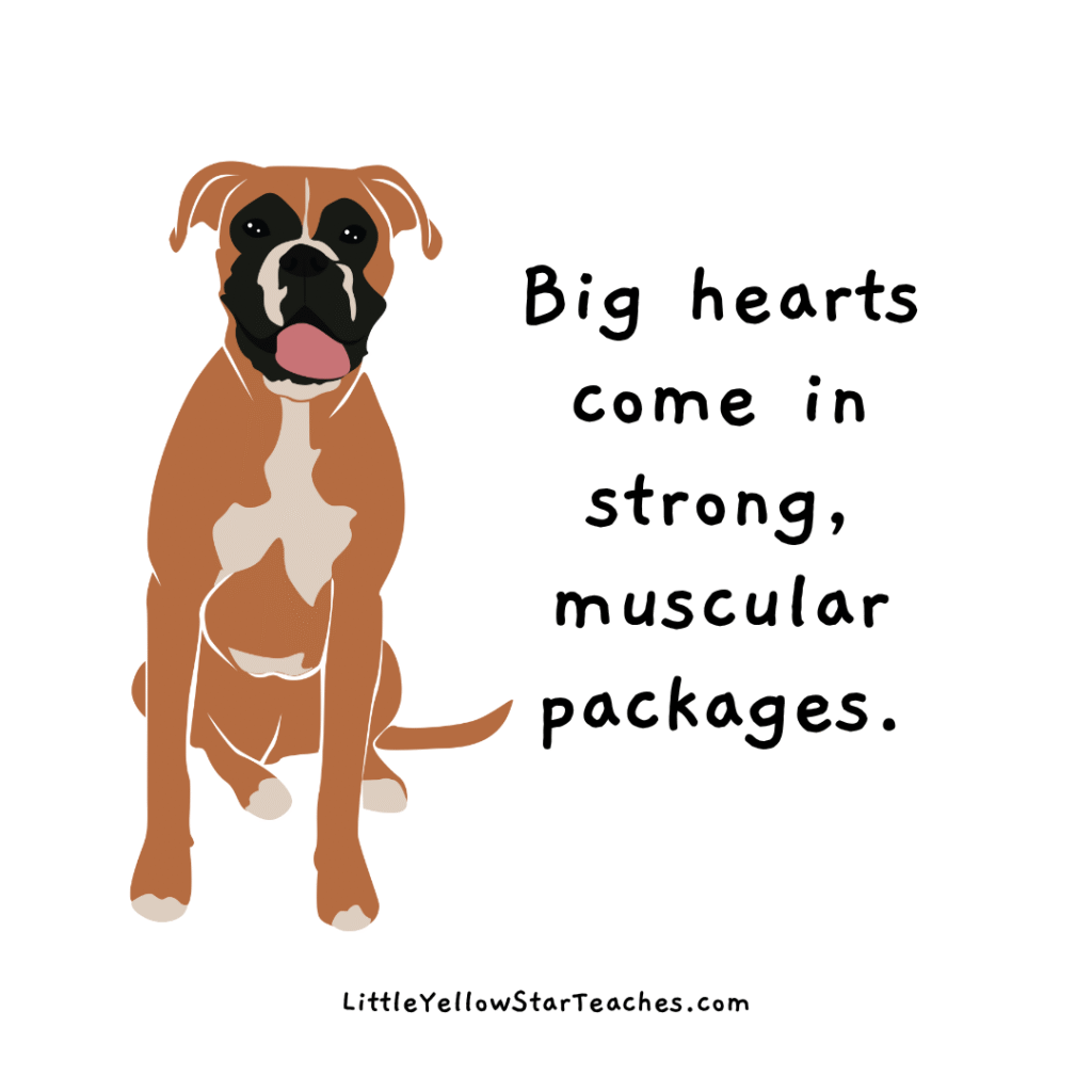 boxer quotes for kids
