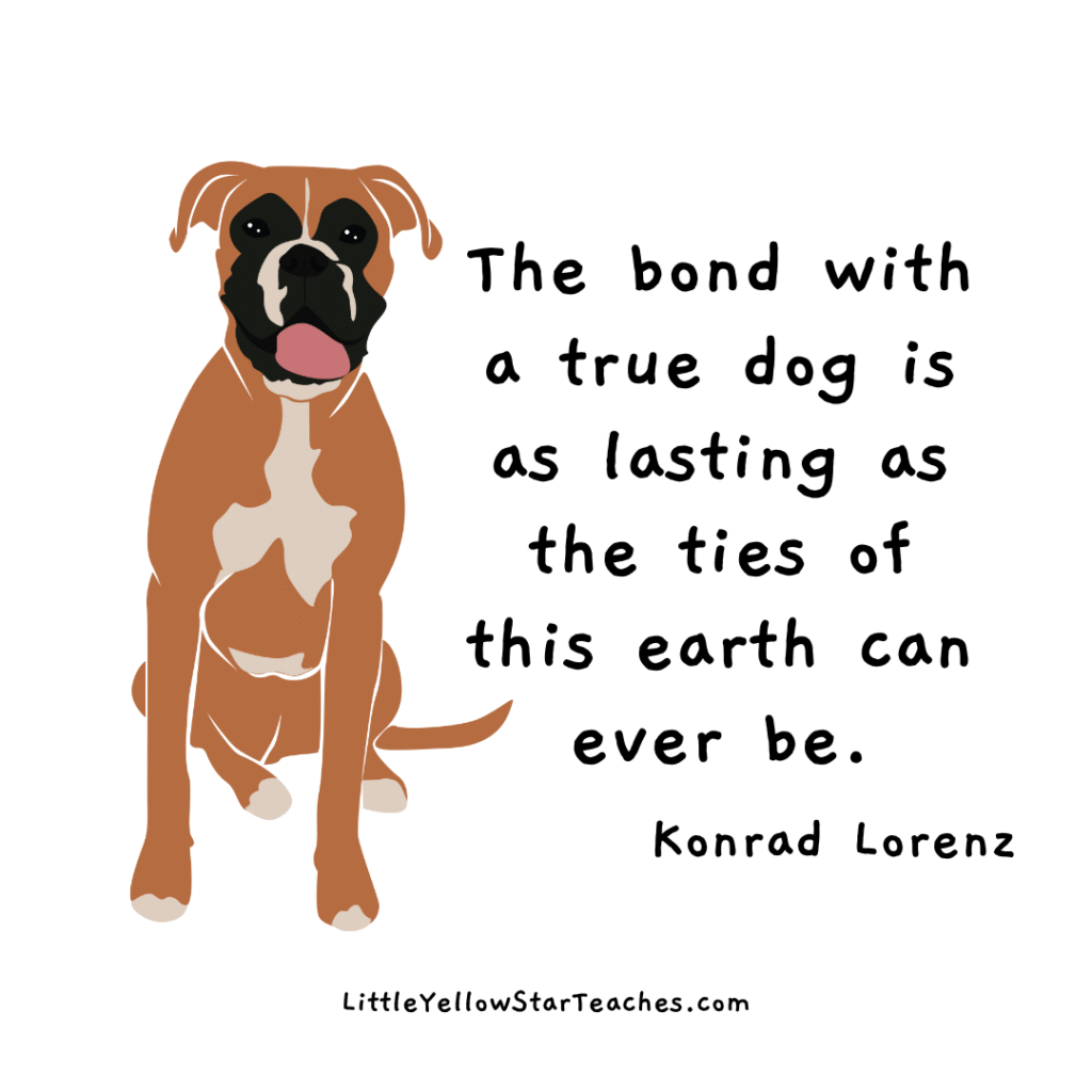 boxer quotes for kids