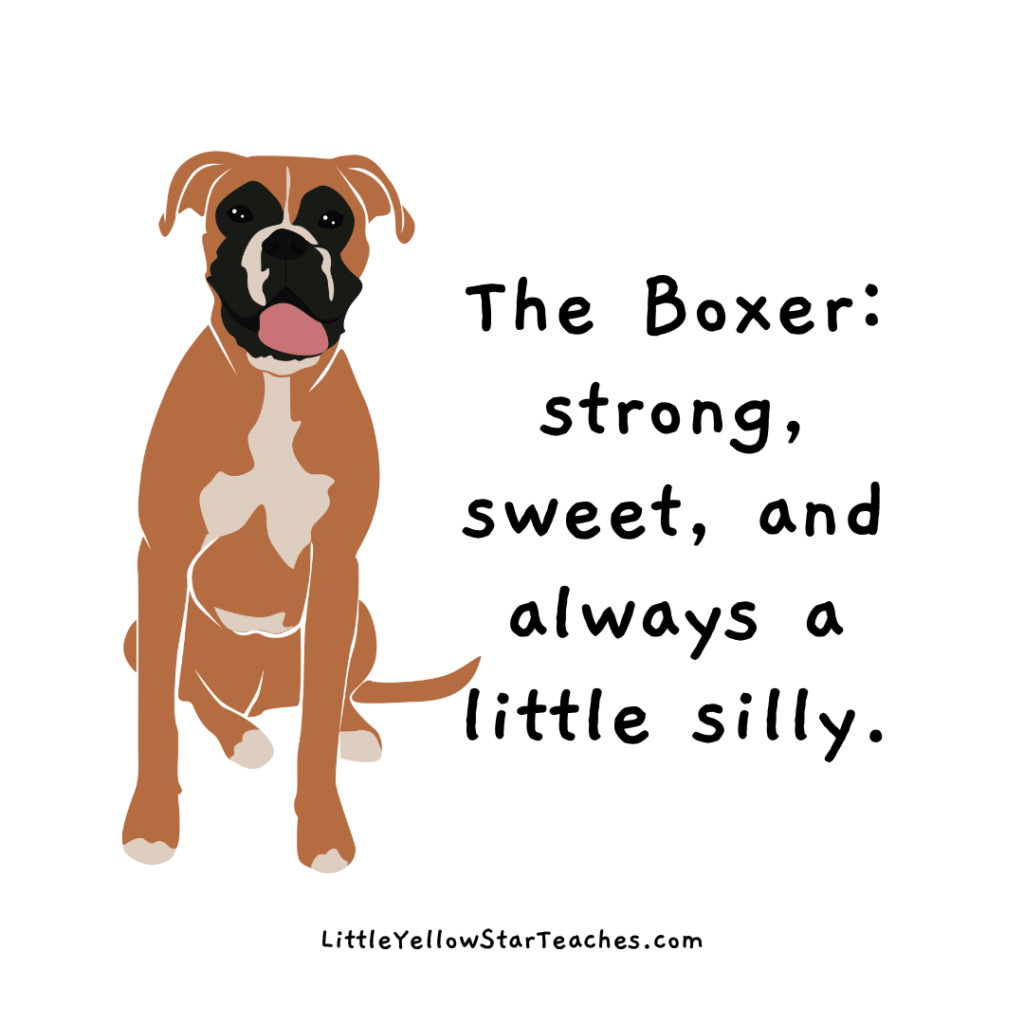 boxer quotes for kids