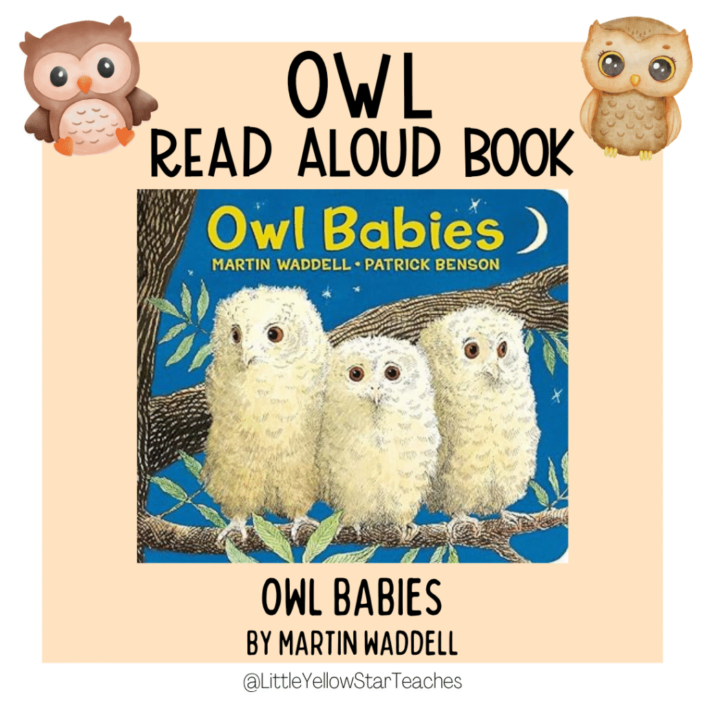 Owl Books for Kids
