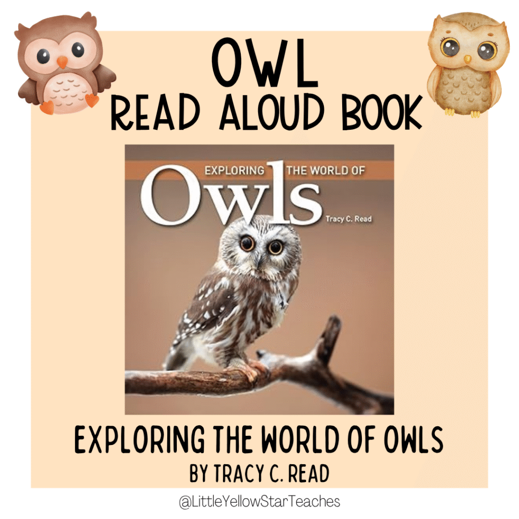 Owl Books for Kids