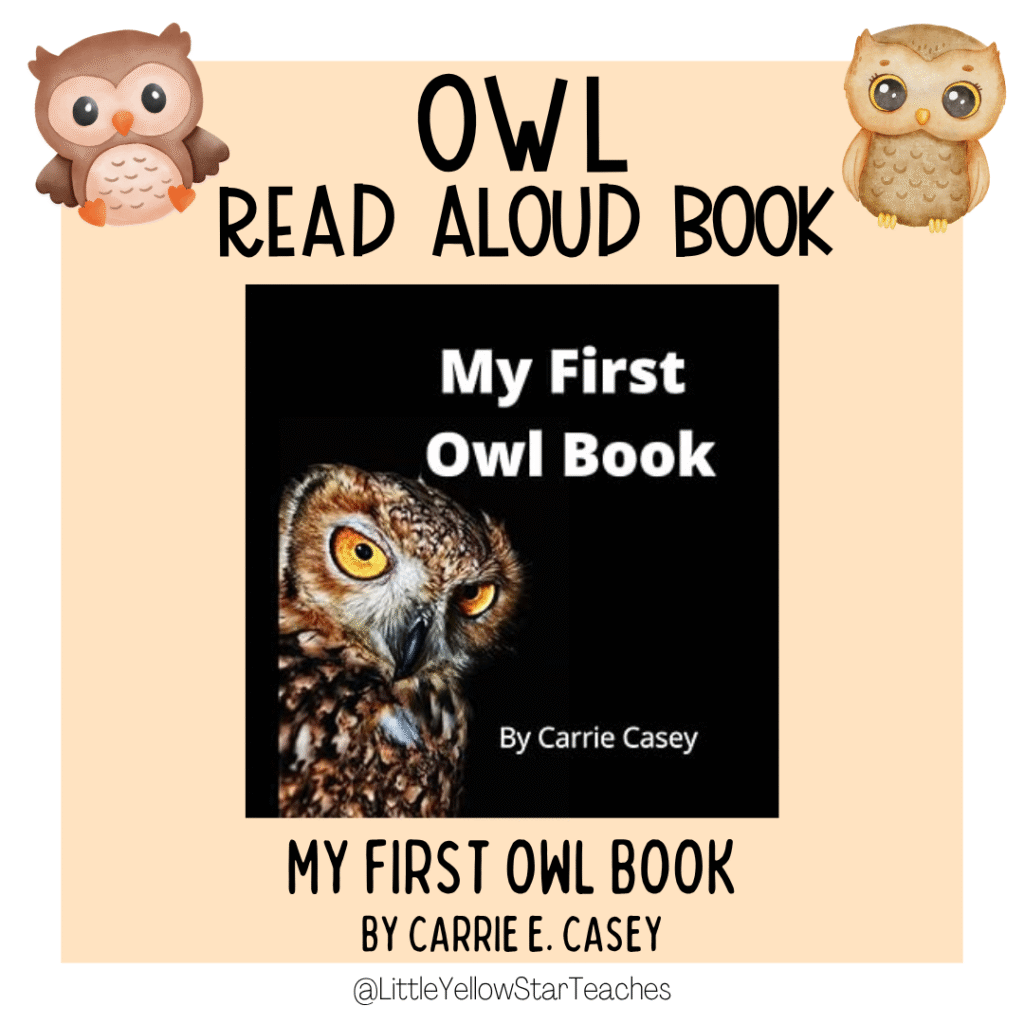 Owl Books for Kids