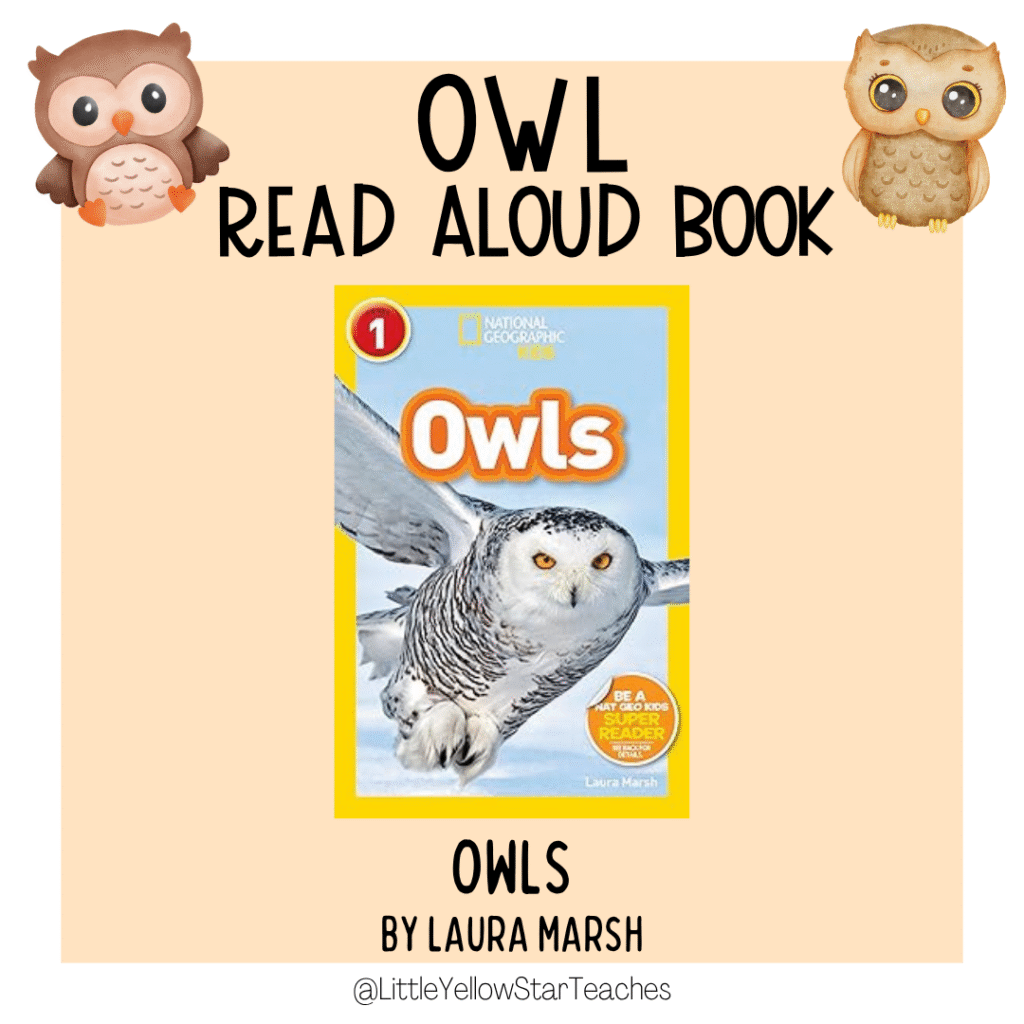 Owl Books for Kids