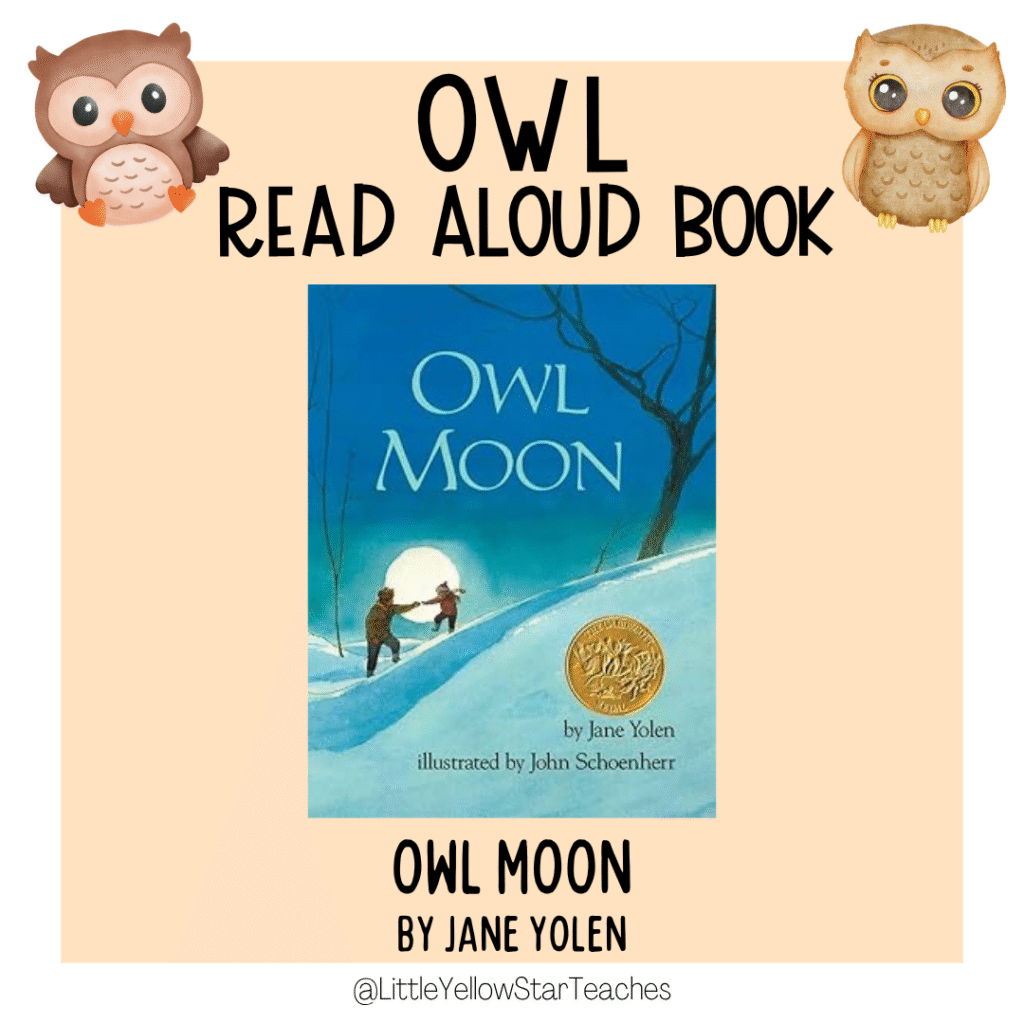 Owl Books for Kids