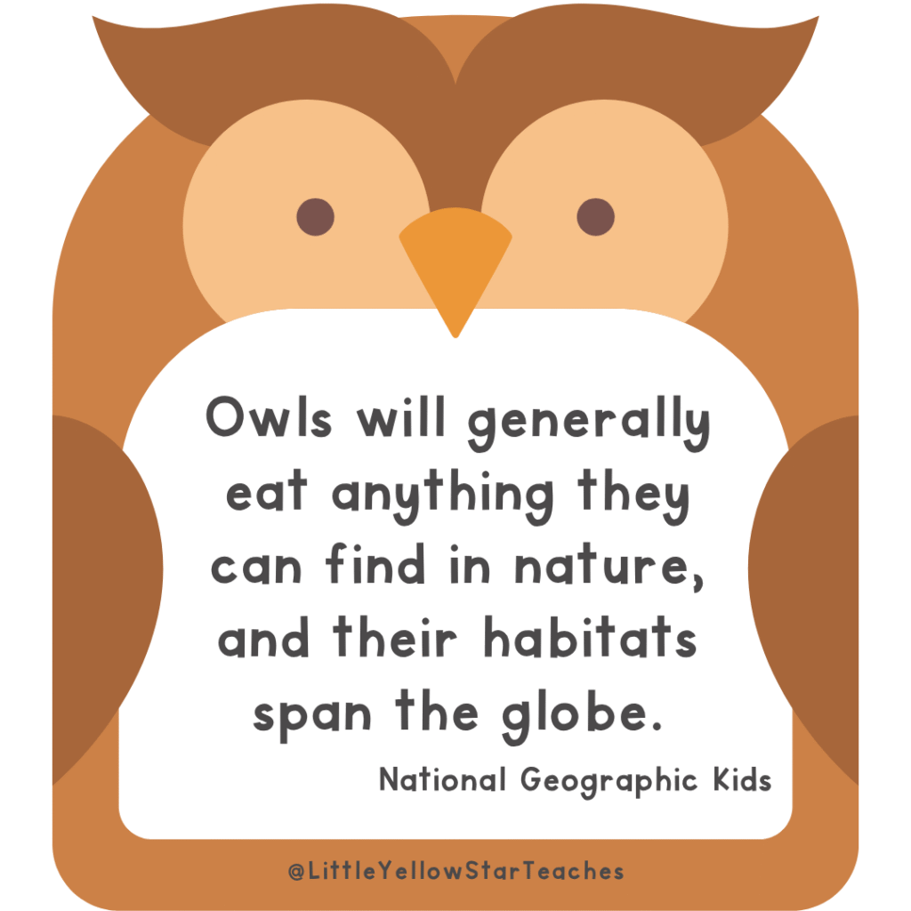 Owl Quotes for Kids