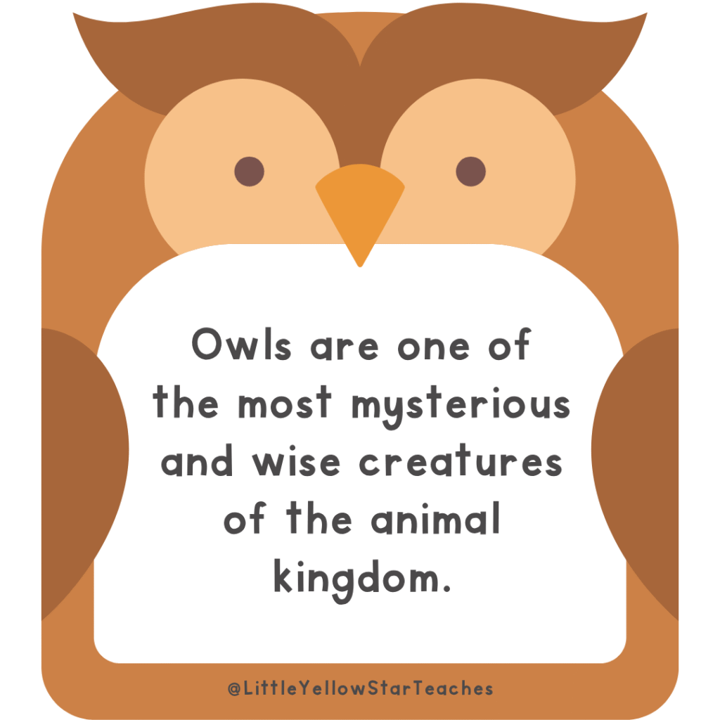 Owl Quotes for Kids