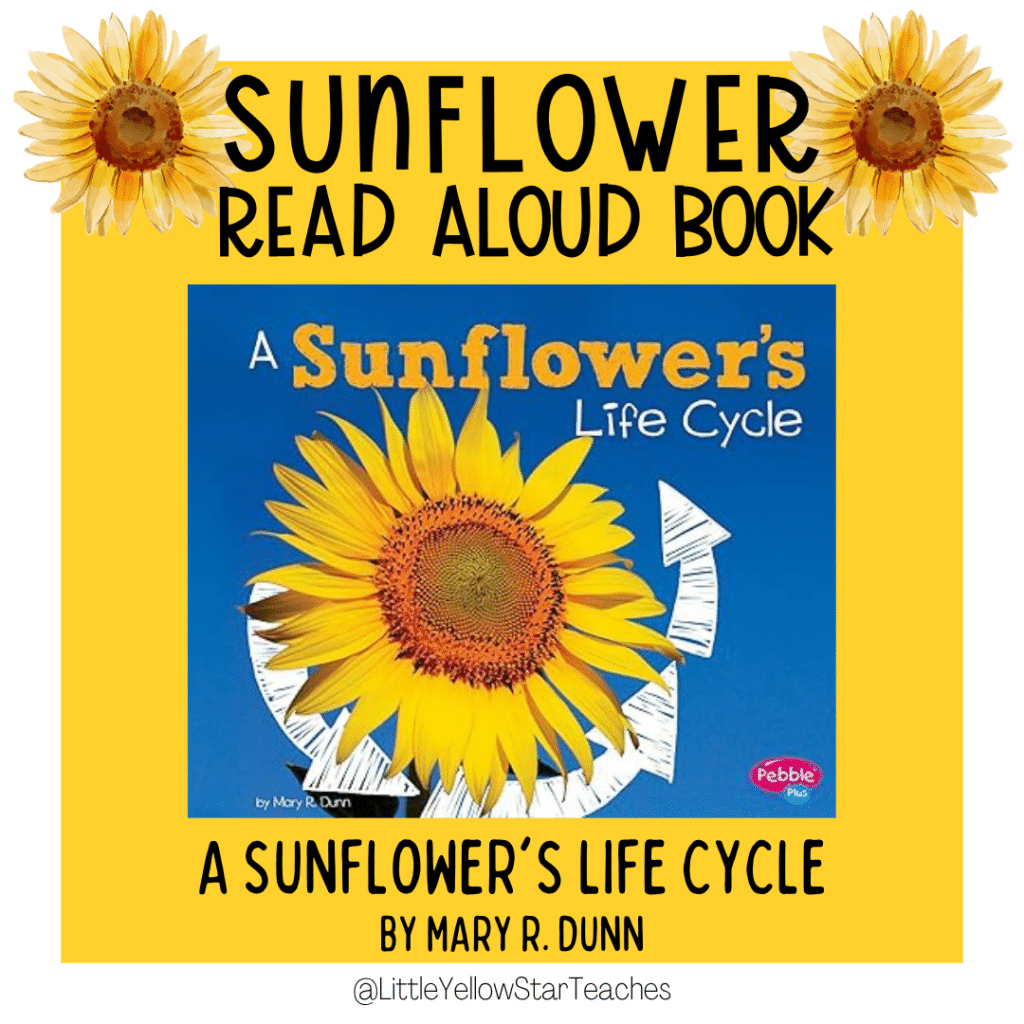 sunflower books for kids