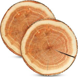 Wood Slice Floor Cushion