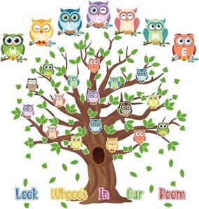 Owl Bulletin Board Set